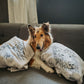 Pet Portrait Blanket